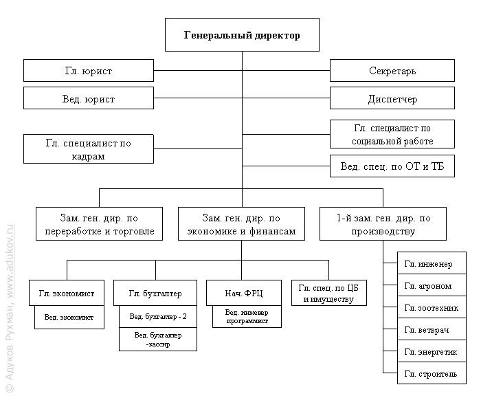 Рис. 1. Структура управления агрофирмы «Зуша» (факт)