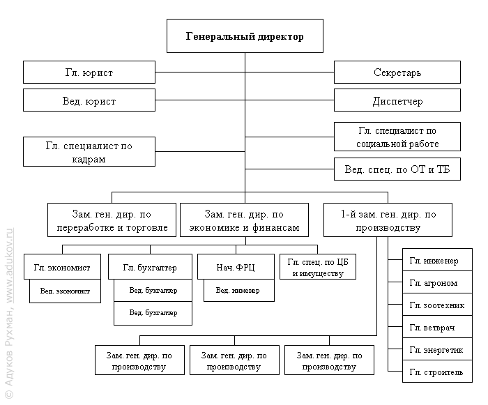 Рис. 2. Структура управления агрофирмы «Зуша» (вариант 1)